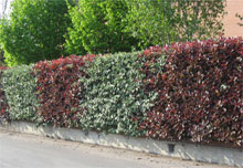 08